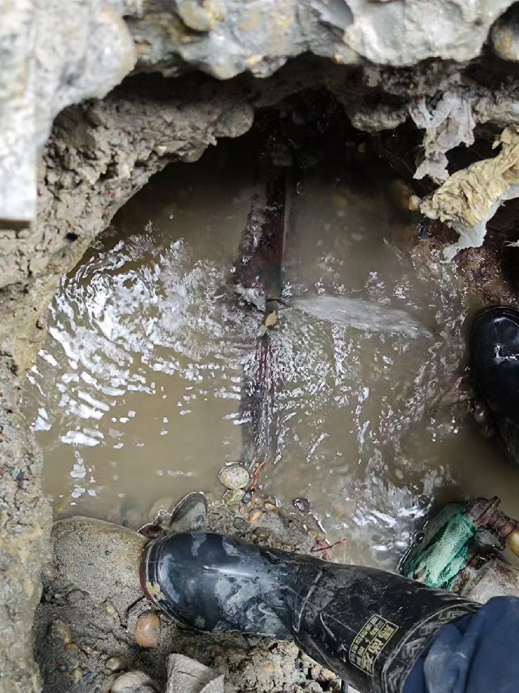 淮安地区绿化水管漏水检测维修